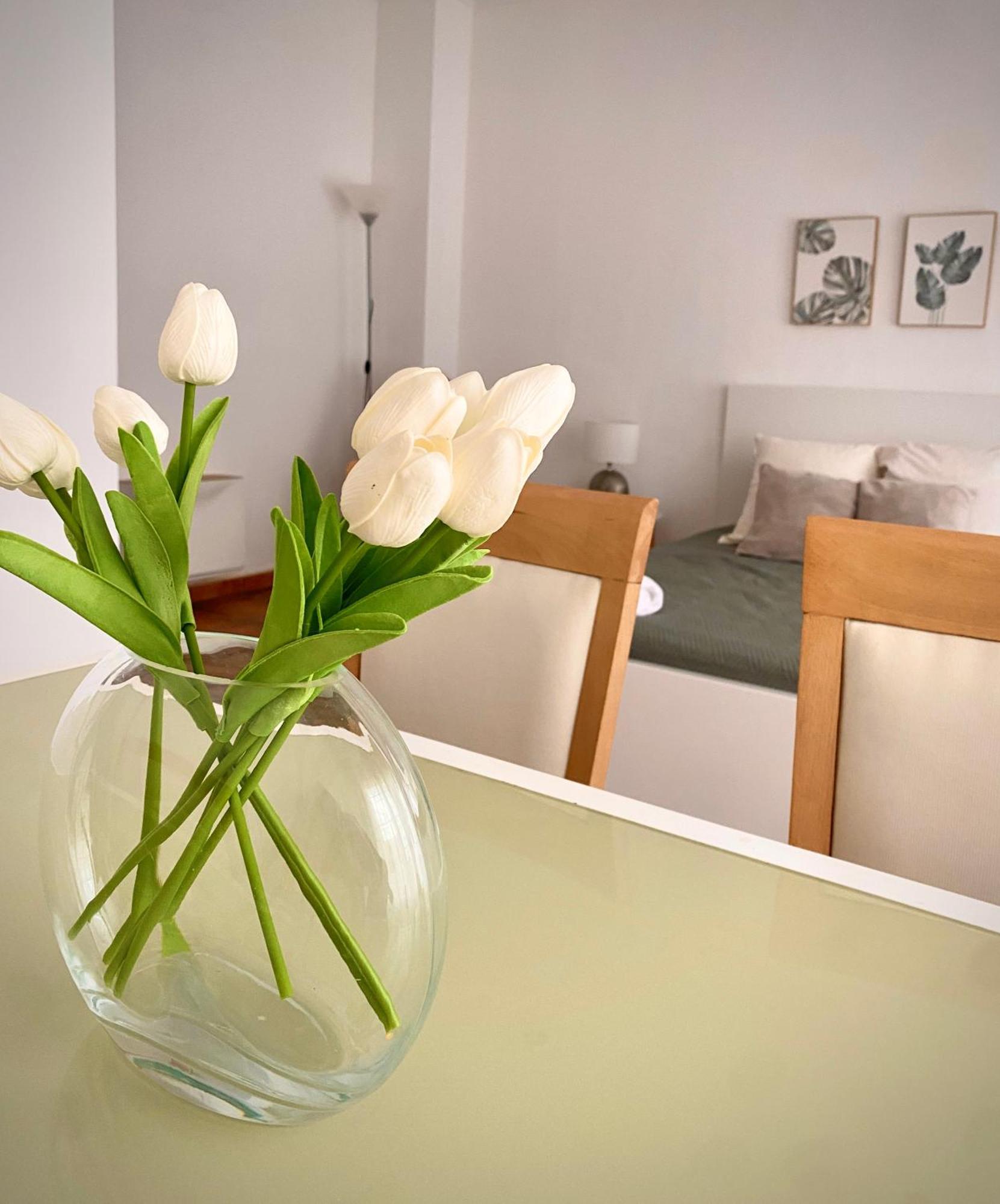 Appartement Tierra Valence